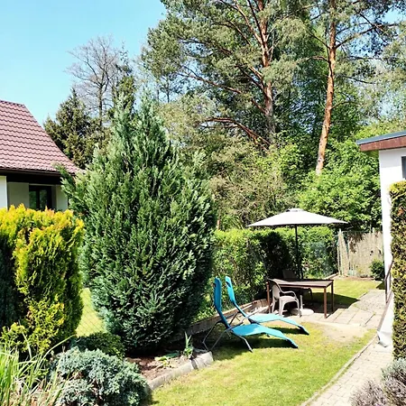 Vakantiehuis Randy's House