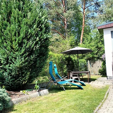 Randy's House * Plzeň