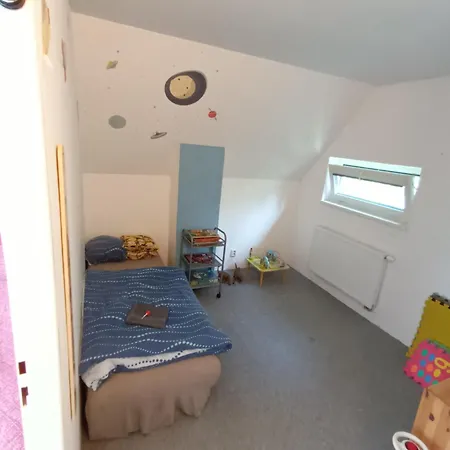 Randy's House Pilsen