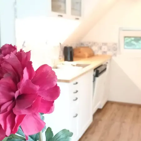 Randy's House Ferienhaus Pilsen