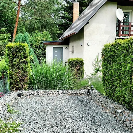 Randy's House
