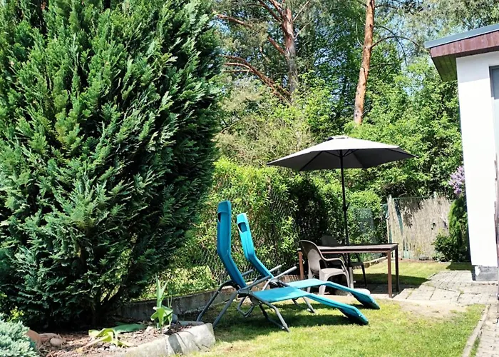 Randy's House * Plzen