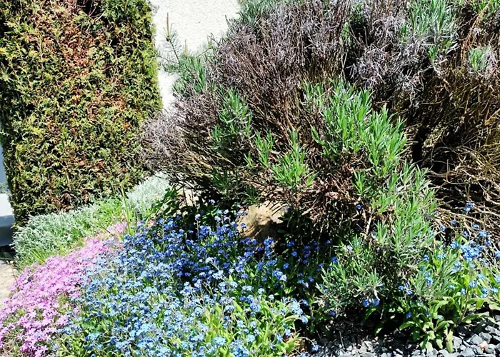 Randy's House * Plzeň