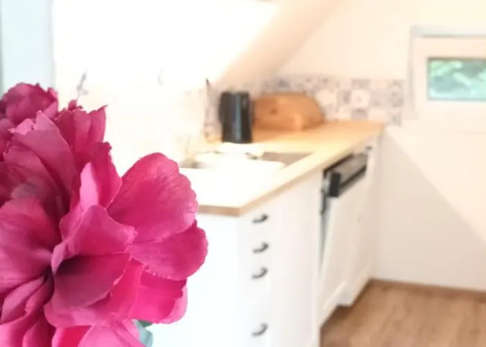 Randy's House Σπίτι διακοπών Πίλζεν