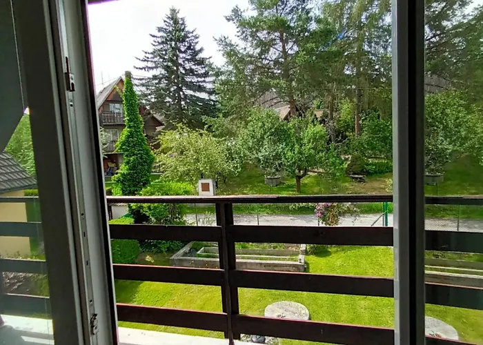 Randy's House * Plzen