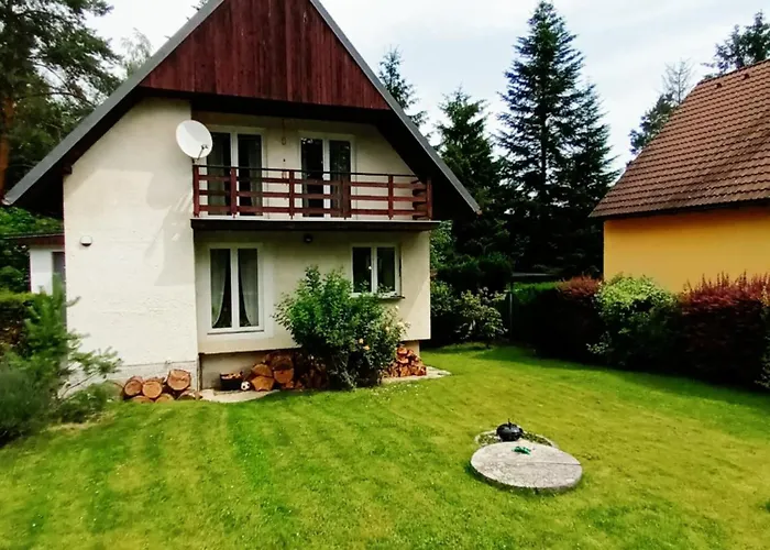 Randy's House * Πίλζεν