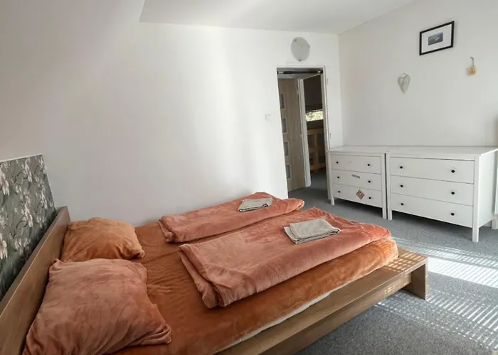 Randy's House * Plzen