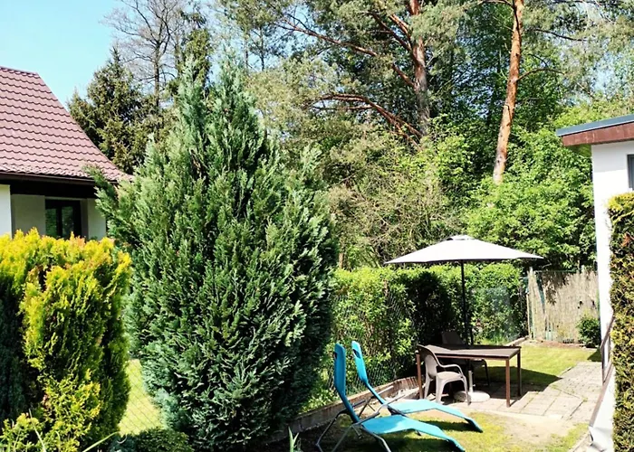 Casa de Férias Randy's House